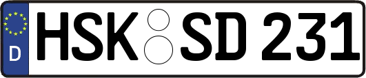 HSK-SD231