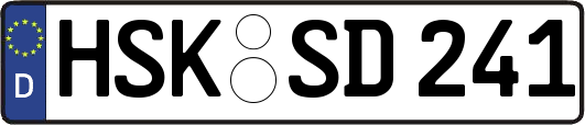 HSK-SD241