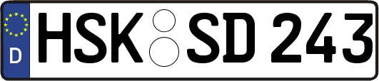 HSK-SD243