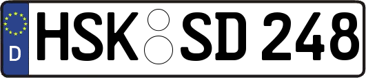 HSK-SD248
