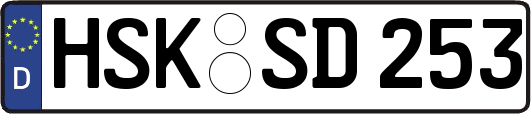 HSK-SD253
