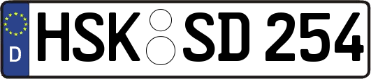 HSK-SD254