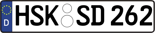 HSK-SD262