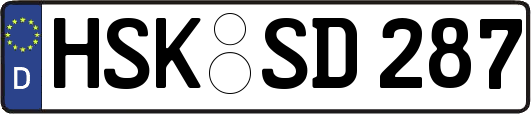 HSK-SD287