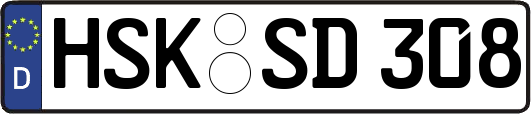 HSK-SD308