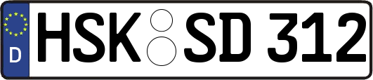HSK-SD312