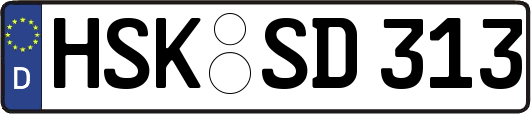 HSK-SD313
