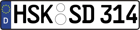 HSK-SD314