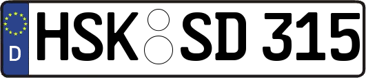 HSK-SD315