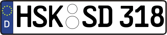 HSK-SD318