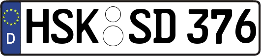 HSK-SD376
