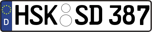 HSK-SD387