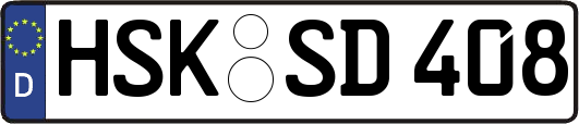 HSK-SD408