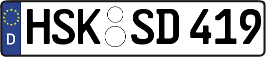 HSK-SD419