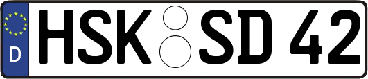 HSK-SD42