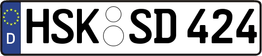 HSK-SD424