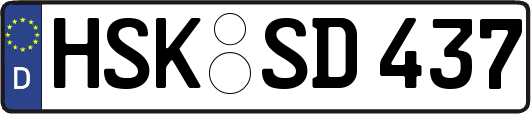 HSK-SD437
