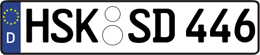 HSK-SD446