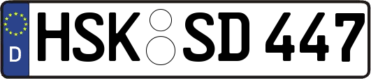 HSK-SD447