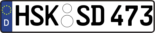 HSK-SD473