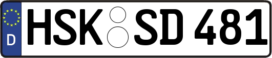 HSK-SD481