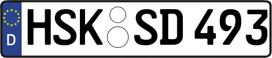 HSK-SD493