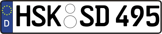 HSK-SD495
