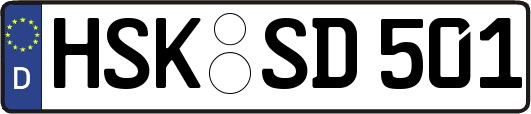 HSK-SD501