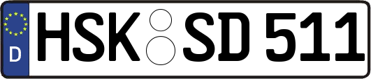 HSK-SD511