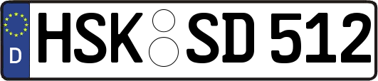 HSK-SD512
