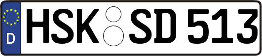 HSK-SD513