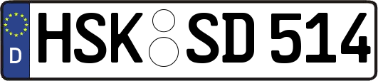 HSK-SD514