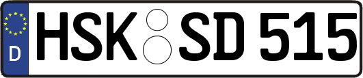 HSK-SD515