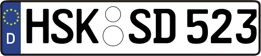 HSK-SD523