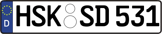 HSK-SD531