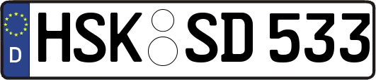 HSK-SD533