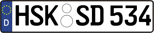 HSK-SD534