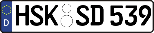 HSK-SD539