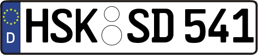 HSK-SD541