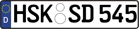 HSK-SD545