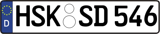HSK-SD546