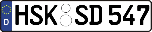 HSK-SD547