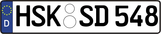 HSK-SD548