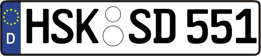 HSK-SD551