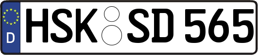 HSK-SD565