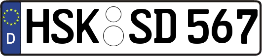 HSK-SD567
