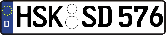 HSK-SD576