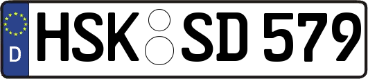HSK-SD579