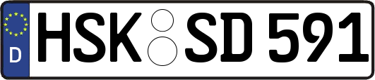 HSK-SD591