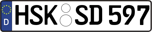 HSK-SD597